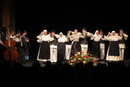 Območno srečanje otroških folklornih skupin RINGARAJA 04 Foto Ljubo Vukelič